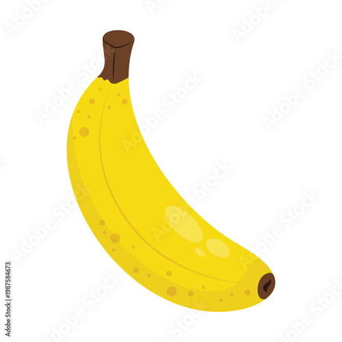 Yellow Banana Fruit Vector Illustration Ripe Tropical Fruit Isolated on White Background