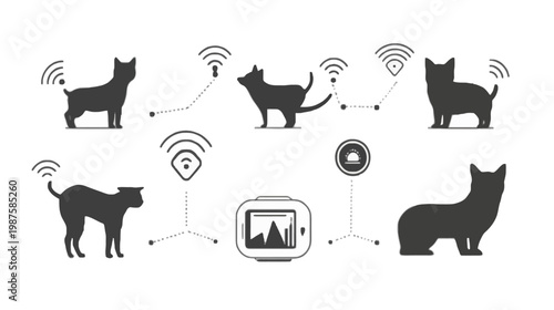 A grayscale graphic showcasing cat silhouettes connected to tracking devices using a dotted-line