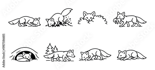 Foxes hunting and resting in scene illustrations on gray background