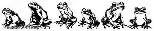 Frog Character Set with Various Poses, Hand Drawn Wildlife Vector Illustration of Amphibians in Graphic Style