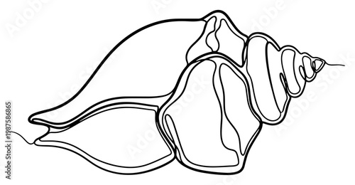 Minimalist Continuous Line Art of a Seashell, Simple Nautical Conch Shell Illustration for Modern Beach Decor and Branding