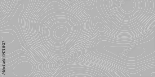 Gray topographic map background with abstract contour lines; seamless wavy minimal pattern for organic terrain texture. professional gray background featuring light gray topographic contour lines.