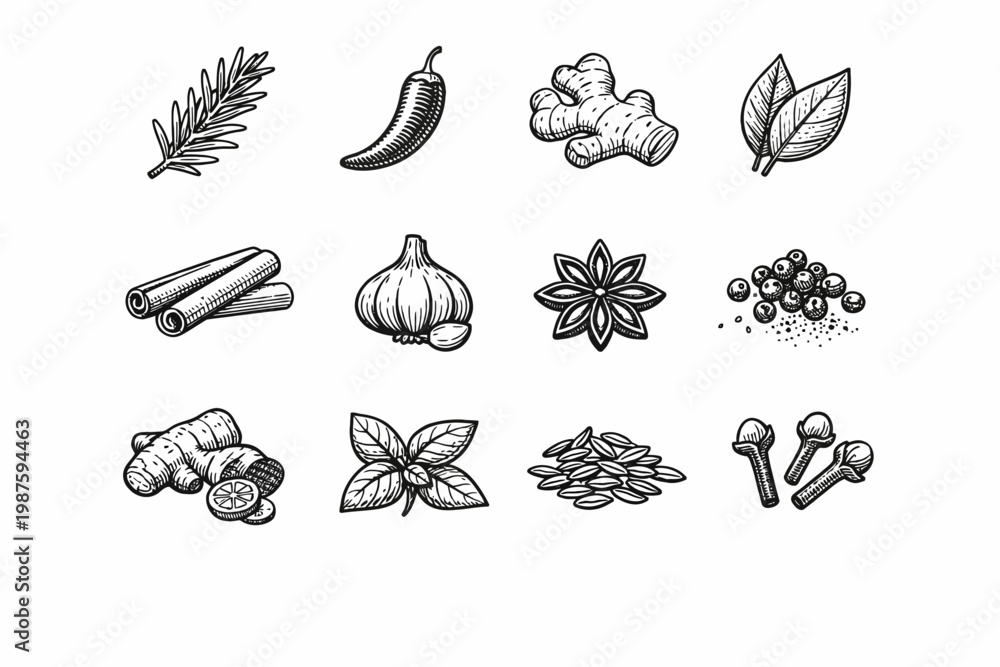 Fototapeta premium Hand-drawn spices and herbs collection: ginger, chili, garlic, cinnamon, cloves, basil, anise