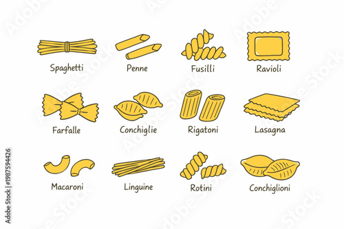 Illustrated guide to twelve different types of pasta