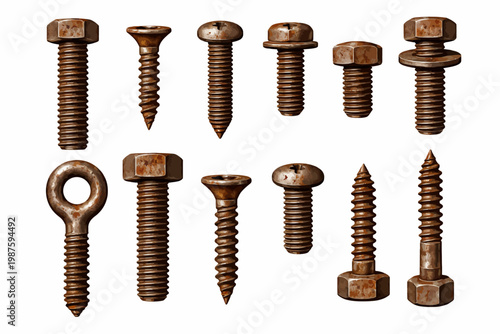 Assorted rusty screws and bolts on white background