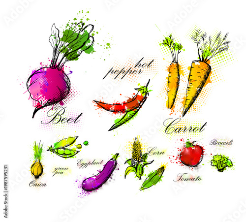 Vegetable set. Hand drawn ink sketches. Hand drawn. Not AI, vector illustration.