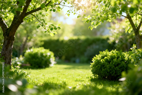 Sunny green garden background with lush grass and soft sunlight filtering through tree leaves