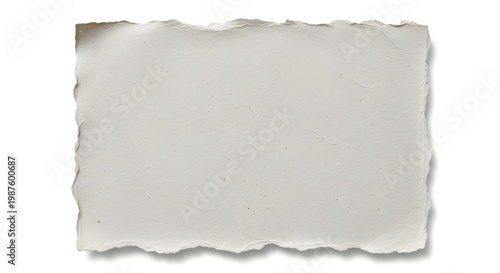 Torn white paper sheet isolated on clean background with natural texture