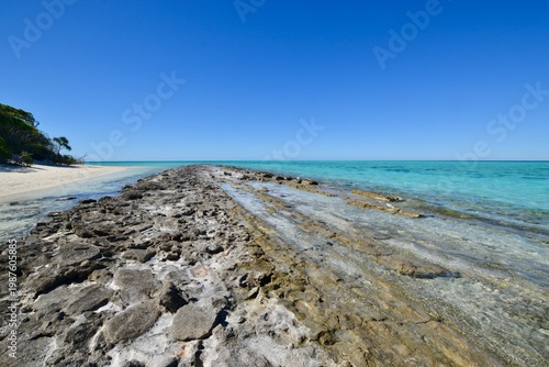 Great Barrier Reef at low tide on Heron Island