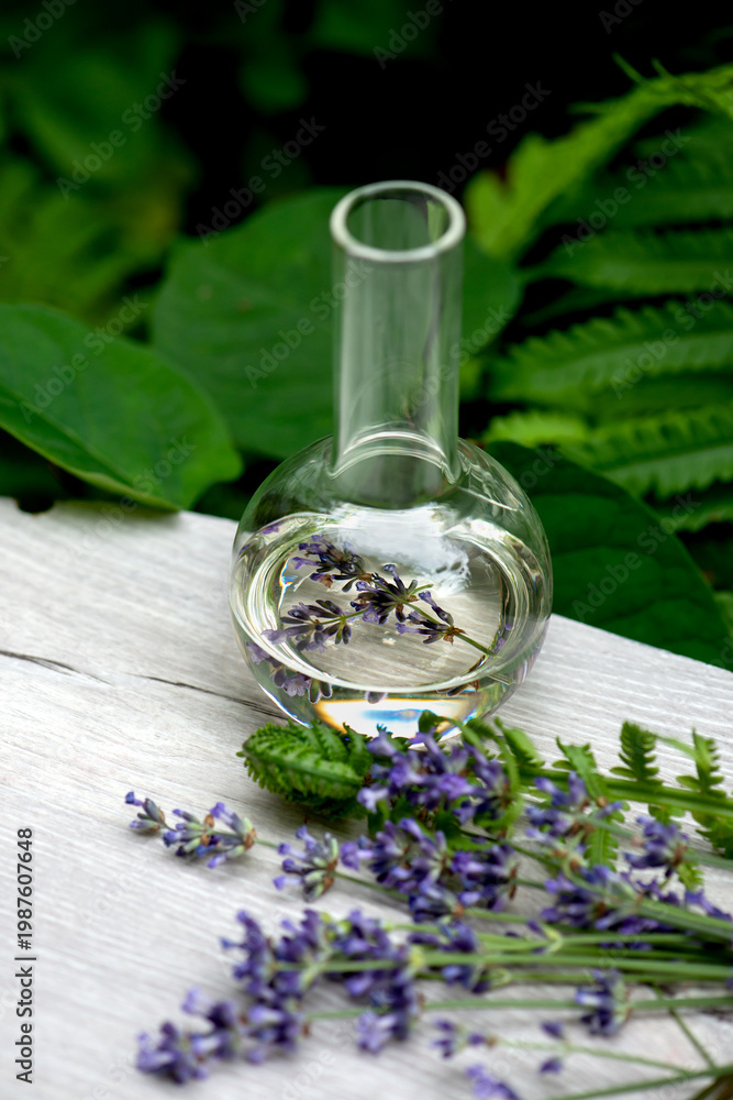 custom made wallpaper toronto digitalSet of the bottles and flasks with essence fragrance cosmetic herbal lavender oils with flowers on desk. Spa and wellness setting, relax and treatment therapy. Selective focus