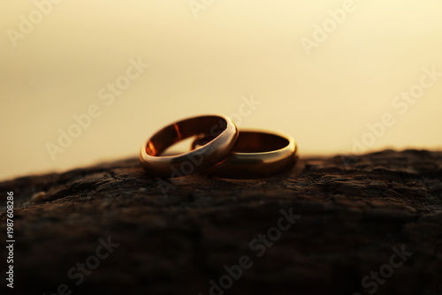 two wedding rings. Couple in love. Sensual. Couple wedding rings. Golden. Romance. Love. 