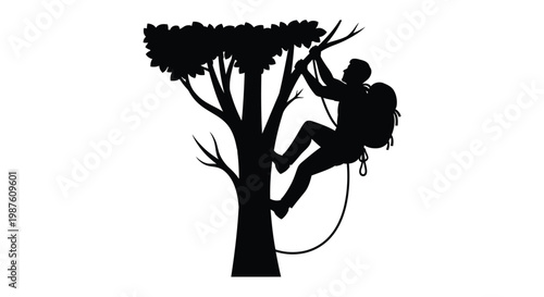 Arborist climbing a tree with ropes a striking black silhouette