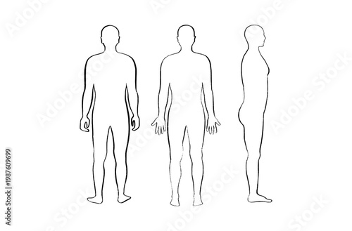 Organ Systems Sketch