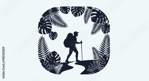 Hiker with backpack and trekking poles.