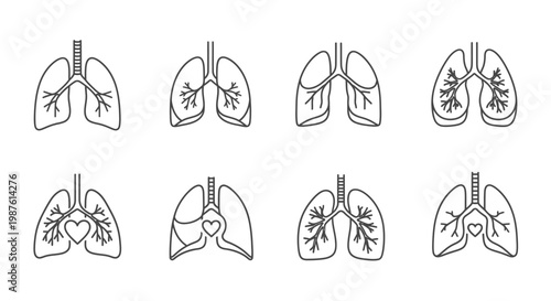 Medical illustration of human lungs in various linear design styles
