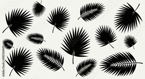 Collection of black feather shapes.
