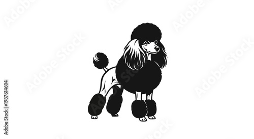 A Stylized Vector Silhouette of a Sophisticated Domestic Poodle in Groomed Form. transparent.