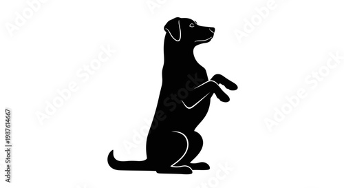Charming Domestic Dog Begging, Sitting Up Clean Vector Silhouette Design. transparent.