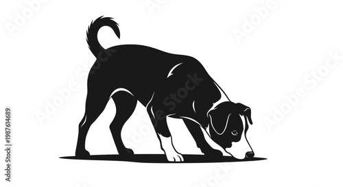 Curious Domestic Pet Dog Sniffing the Ground A Clean Vector Silhouette. transparent.
