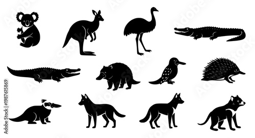 Australian Animal Silhouette Vector Set Minimal Black Wildlife Icons Collection
