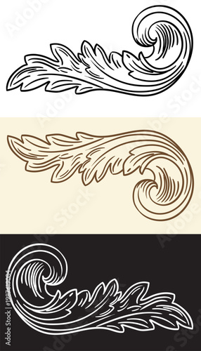 Set of decorative hand drawing scroll vintage leaf design element
