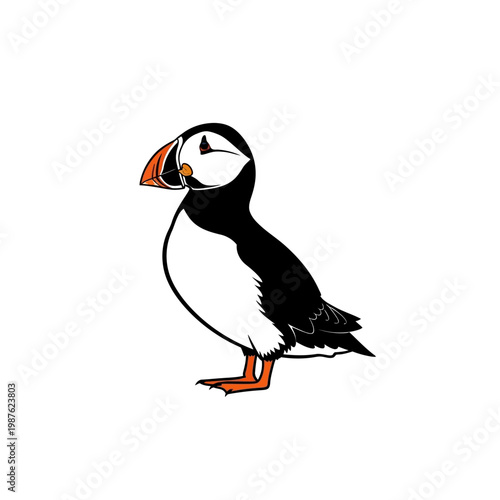 Charming illustration of a puffin bird with its distinct colorful beak and black and white plumage, isolated on a white background