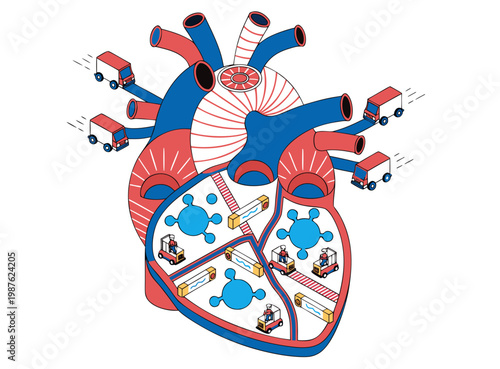 Isometric Human Heart as a Logistics Hub Illustration with Delivery Trucks, Forklifts, and Warehouse Distribution System for Blood Circulation Concept
