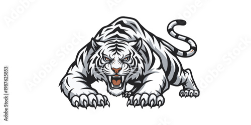 Tiger in aggressive crawling position ready.