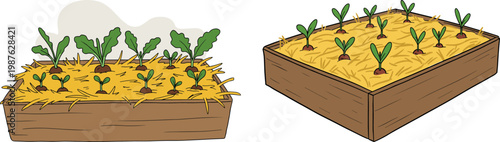 Hand drawn style vegetable garden beds with growing plants in a straw-covered soil and greenery in the background on a transparent background