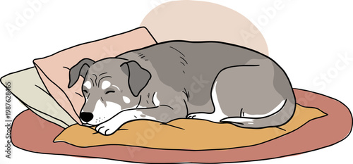 Gray dog sleeping peacefully on a cozy cushion with colorful pillows, hand drawn style, isolated on transparent background, calm atmosphere, indoor setting, illustration
