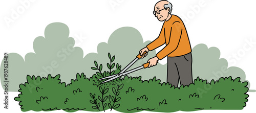Elderly gardener trimming bushes with scissors in a green garden surrounded by shrubbery on a transparent background, simple hand drawn style illustration.