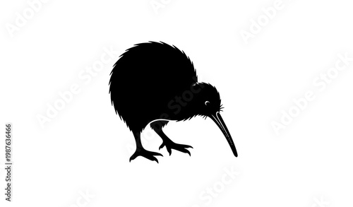 Black vector silhouette of a kiwi bird with long beak and fluffy body for icons or logos