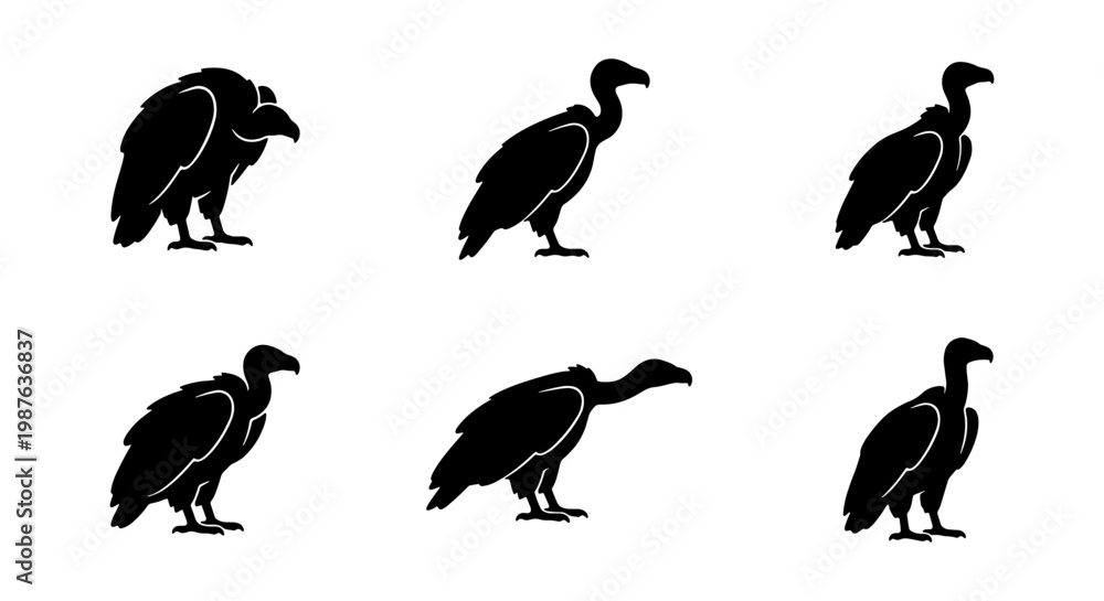 Fototapeta premium Vulture silhouettes illustration: vector graphic of black vultures in various poses and angles