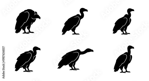 Vulture silhouettes illustration: vector graphic of black vultures in various poses and angles