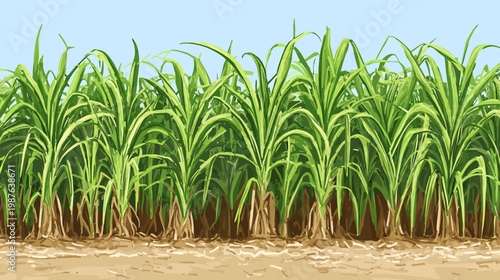 A vibrant illustration showcasing sugarcane, tall stalks with green leaves, against a bright sky