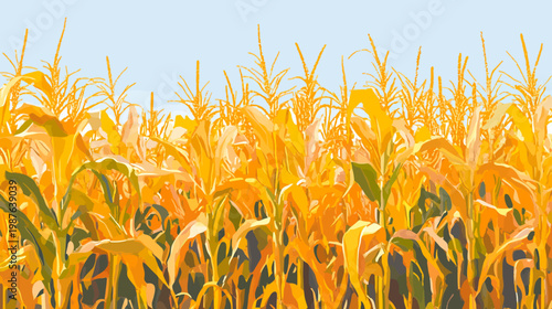 A vibrant, stylized illustration of a sun-drenched cornfield with golden hues under a light blue sky