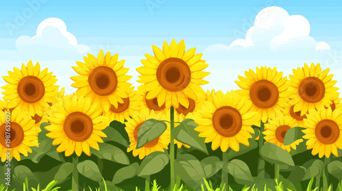A vibrant, sunny illustration featuring a field of sunflowers against a light-blue sky with fluffy clouds