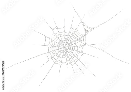 Clean white spider web vector graphic, perfect for nature and insect-themed designs