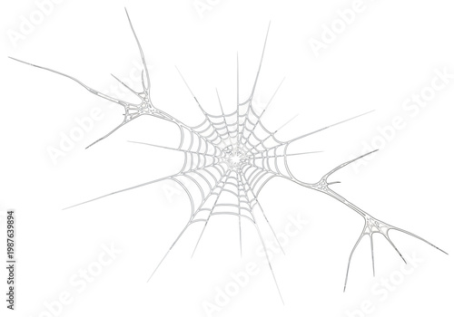 Spider web vector illustration on white background, KACA_cwcvqm_PECAH