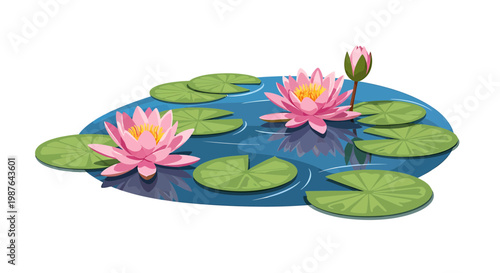 Pink Water Lilies and Lily Pads Floating on a Blue Pond Vector