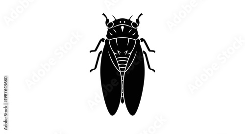 Stylized Black Cicada Insect Vector Illustration Isolated on White