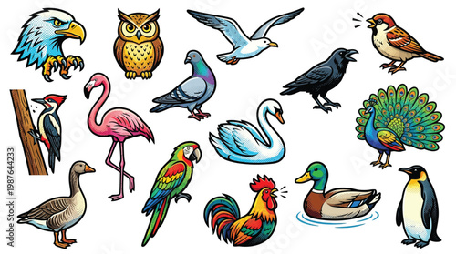 A vibrant collection of diverse bird species, including an eagle, owl, flamingo, parrot, and peacock, depicted in a colorful illustration.
