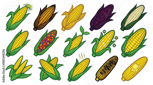 A vibrant collection of diverse corn varieties, showcasing different colors, stages of ripeness, and preparations, including grilled and buttered corn.