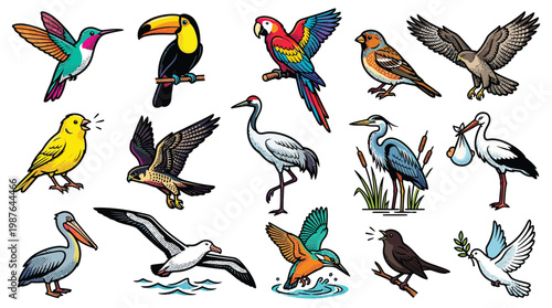 A vibrant collection of diverse bird species, showcasing their unique colors, sizes, and poses in a clear, illustrative style.