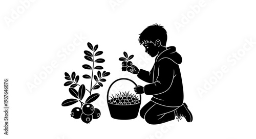 Silhouette of a Boy Picking Berries into a Basket Vector Illustration