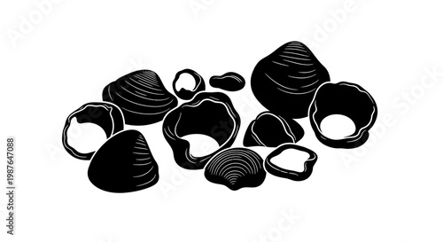 Black silhouette seashell vector illustration on white background