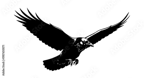 Raven Flying Illustration Black and White Vector Art
