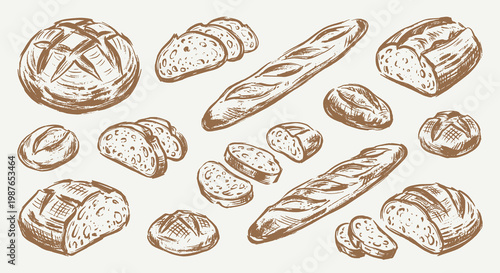 Collection of Sourdough Bread Vector Illustration Drawings Set, Vintage Rustic Hand-Drawn Sketch Style Artisan Bakery Graphics, Loaf Boule Baguette Slices Icons
