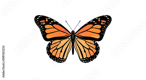 A minimalist ink drawing of a monarch butterfly