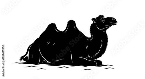 Black Silhouette Vector Illustration of a Sitting Bactrian Camel